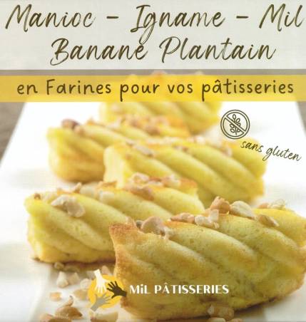 Manioc, Igname, Mil, Banane plantain, en farines pour vos pâtisseries