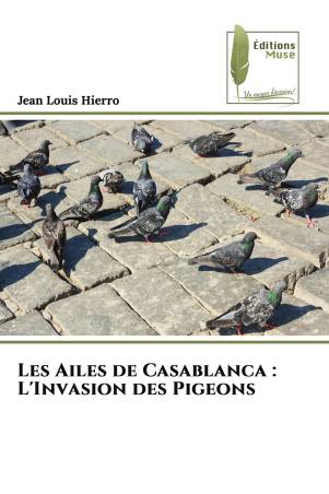 Les Ailes de Casablanca : L'Invasion des Pigeons