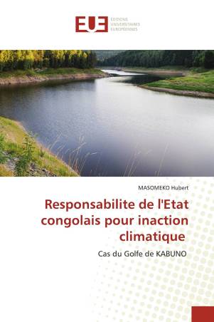 Responsabilite de l'Etat congolais pour inaction climatique