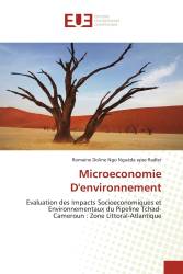 Microeconomie D'environnement