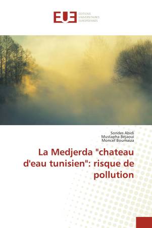 La Medjerda "chateau d'eau tunisien": risque de pollution