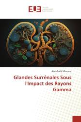 Glandes Surrénales Sous l'Impact des Rayons Gamma