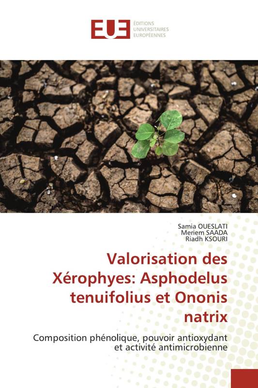 Valorisation des Xérophyes: Asphodelus tenuifolius et Ononis natrix