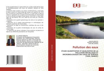 Pollution des eaux