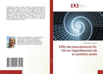 Effet des basculements GI-GII sur l'appréhension de la symétrie axiale