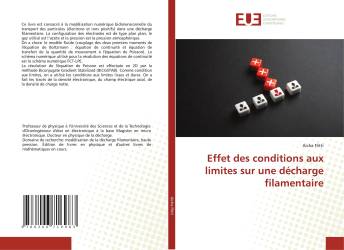 Effet des conditions aux limites sur une décharge filamentaire