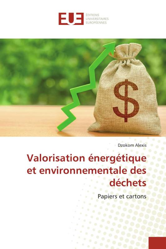 Valorisation énergétique et environnementale des déchets