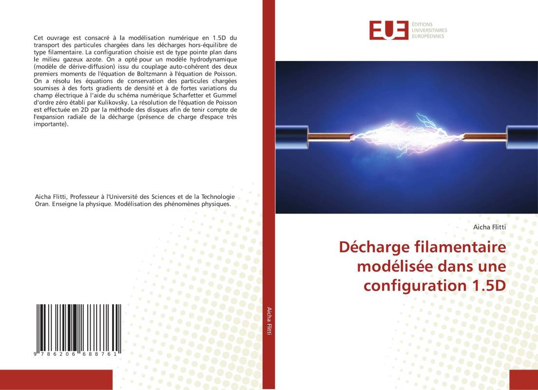 Décharge filamentaire modélisée dans une configuration 1.5D