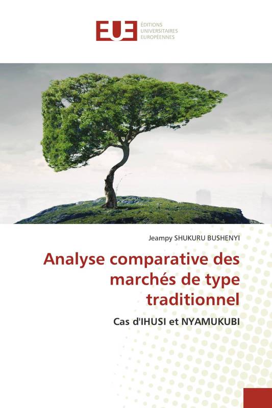 Analyse comparative des marchés de type traditionnel