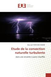 Etude de la convection naturelle turbulente