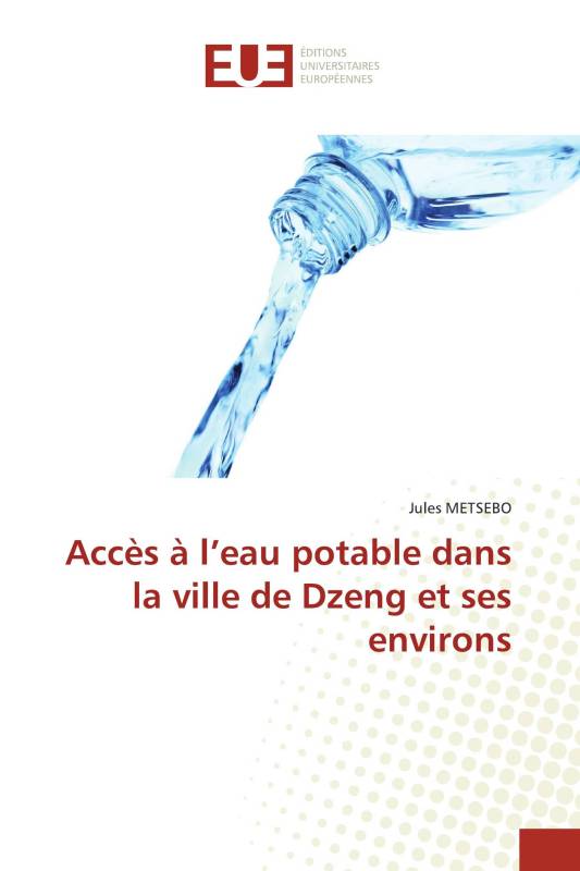 Accès à l’eau potable dans la ville de Dzeng et ses environs