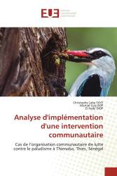 Analyse d'implémentation d'une intervention communautaire