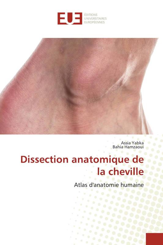 Dissection anatomique de la cheville