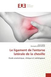 Le ligament de l'entorse latérale de la cheville