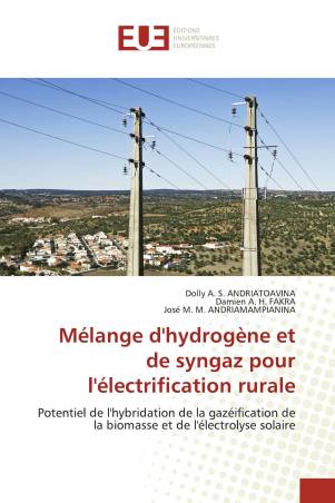 Mélange d'hydrogène et de syngaz pour l'électrification rurale