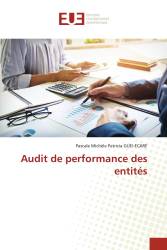 Audit de performance des entités