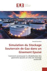 Simulation du Stockage Souterrain de Gaz dans un Gisement Epuisé