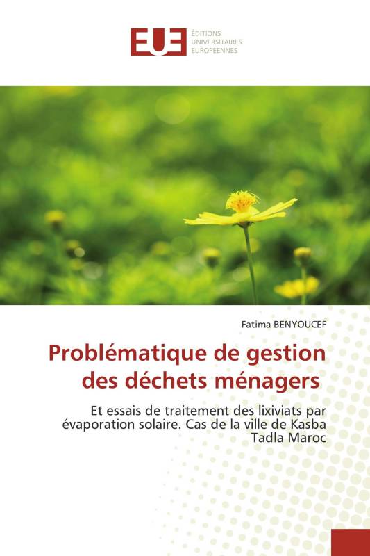 Problématique de gestion des déchets ménagers