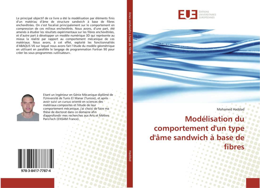 Modélisation du comportement d'un type d'âme sandwich à base de fibres