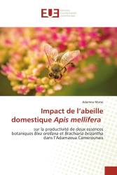 Impact de l’abeille domestique Apis mellifera