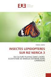 INSECTES LEPIDOPTERES SUR RIZ NERICA 3