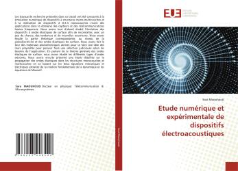 Etude numérique et expérimentale de dispositifs électroacoustiques