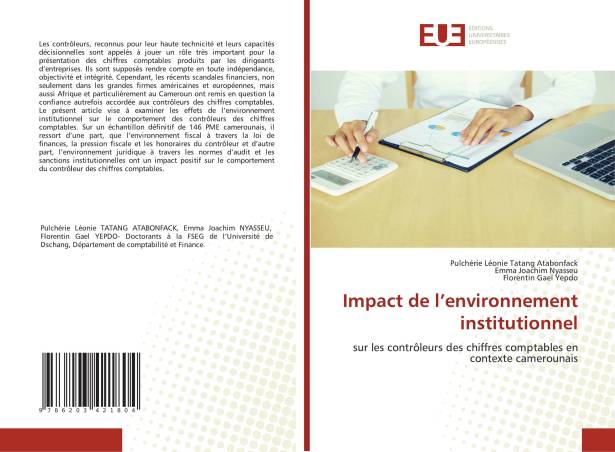 Impact de l’environnement institutionnel