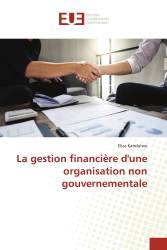 La gestion financière d'une organisation non gouvernementale