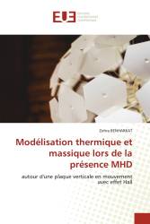 Modélisation thermique et massique lors de la présence MHD