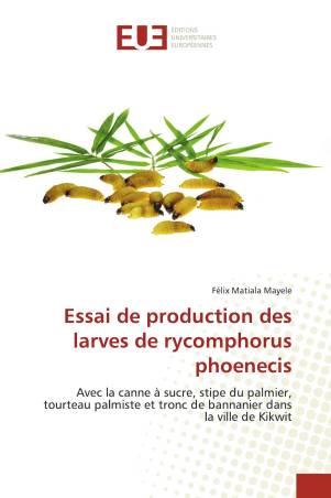 Essai de production des larves de rycomphorus phoenecis