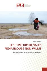 LES TUMEURS RENALES PEDIATRIQUES NON WILMS