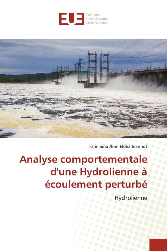 Analyse comportementale d'une Hydrolienne à écoulement perturbé