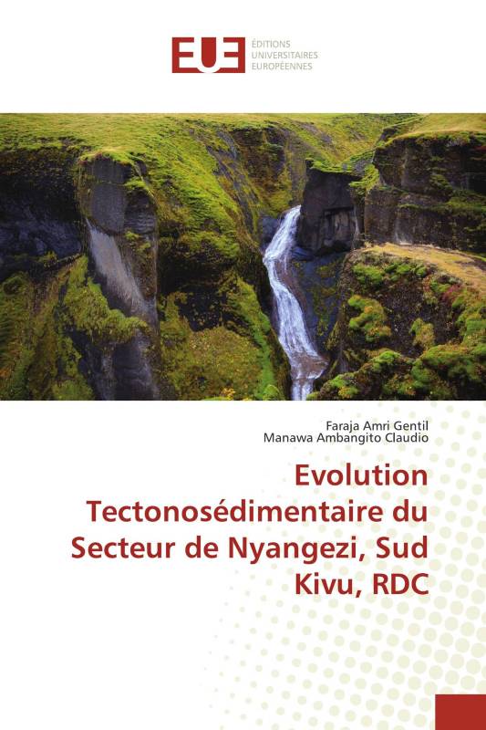 Evolution Tectonosédimentaire du Secteur de Nyangezi, Sud Kivu, RDC