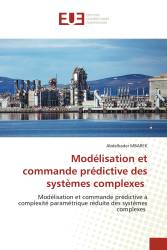 Modélisation et commande prédictive des systèmes complexes