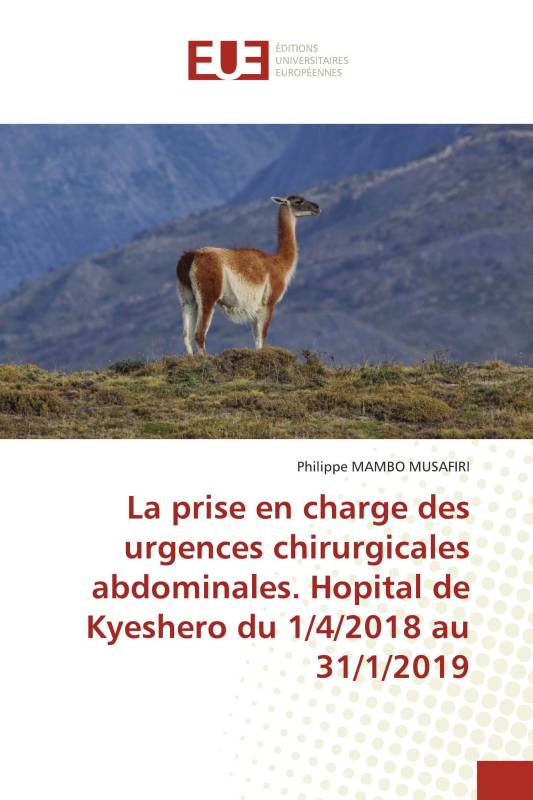 La prise en charge des urgences chirurgicales abdominales. Hopital de Kyeshero du 1/4/2018 au 31/1/2019