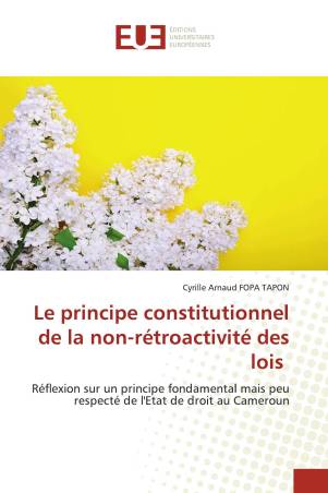 Le principe constitutionnel de la non-rétroactivité des lois