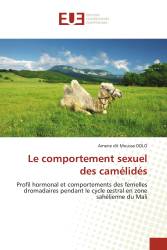 Le comportement sexuel des camélidés