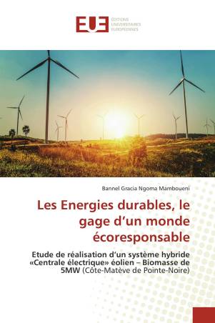 Les Energies durables, le gage d’un monde écoresponsable