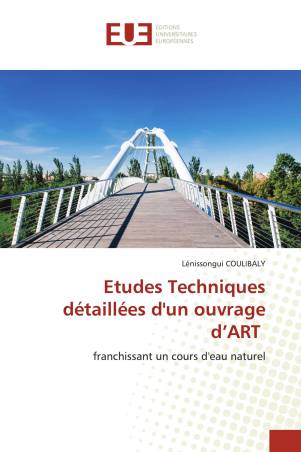 Etudes Techniques détaillées d'un ouvrage d’ART