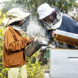 Miel Sauvage de Forêts Humides bio Ilanga Nature