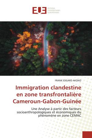 Immigration clandestine en zone transfrontalière Cameroun-Gabon-Guinée