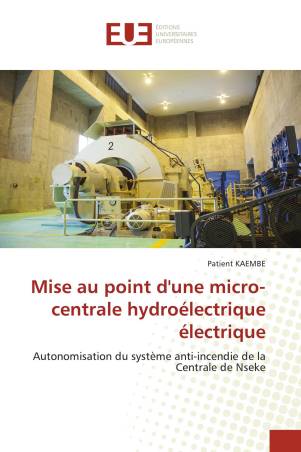 Mise au point d'une micro-centrale hydroélectrique électrique