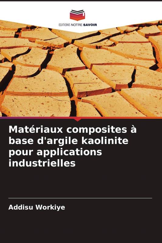 Matériaux composites à base d'argile kaolinite pour applications industrielles