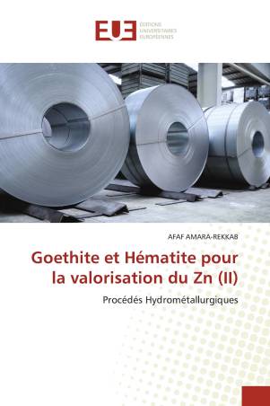 Goethite et Hématite pour la valorisation du Zn (II)