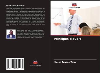 Principes d'audit