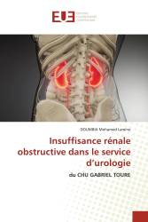 Insuffisance rénale obstructive dans le service d’urologie