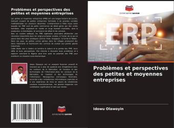 Problèmes et perspectives des petites et moyennes entreprises