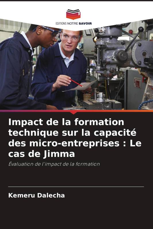 Impact de la formation technique sur la capacité des micro-entreprises : Le cas de Jimma