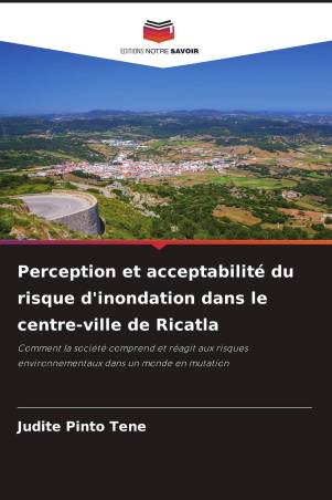 Perception et acceptabilité du risque d'inondation dans le centre-ville de Ricatla