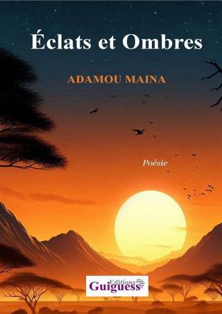 Eclats et Ombres Adamou Maina